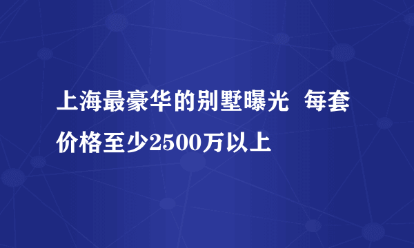 上海最豪华的别墅曝光  每套价格至少2500万以上