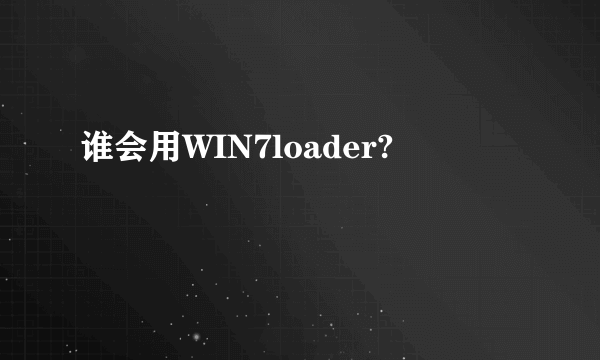 谁会用WIN7loader?