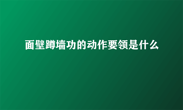 面壁蹲墙功的动作要领是什么