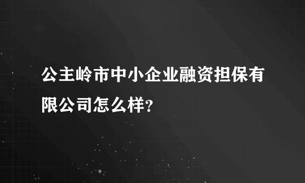 公主岭市中小企业融资担保有限公司怎么样？