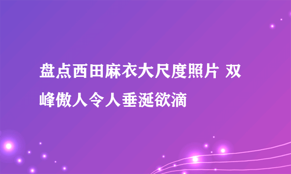 盘点西田麻衣大尺度照片 双峰傲人令人垂涎欲滴