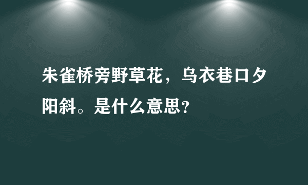 朱雀桥旁野草花，乌衣巷口夕阳斜。是什么意思？
