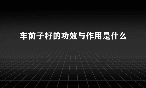 车前子籽的功效与作用是什么