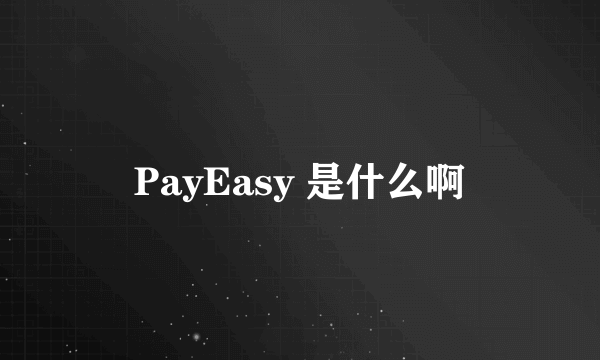 PayEasy 是什么啊