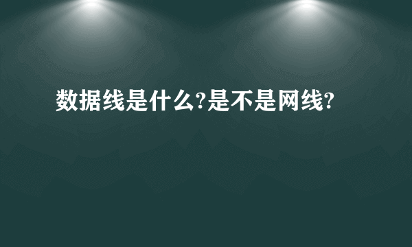 数据线是什么?是不是网线?