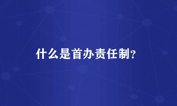 什么是首办责任制？