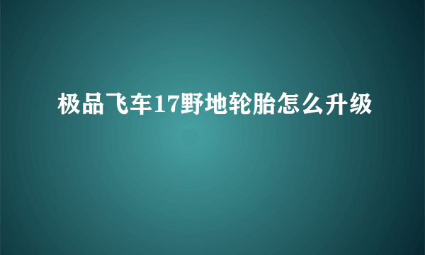 极品飞车17野地轮胎怎么升级