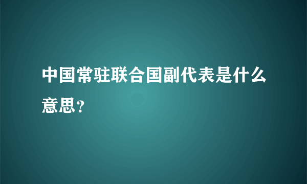 中国常驻联合国副代表是什么意思？