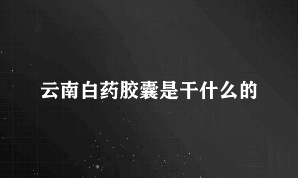 云南白药胶囊是干什么的