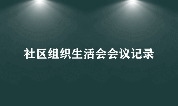 社区组织生活会会议记录