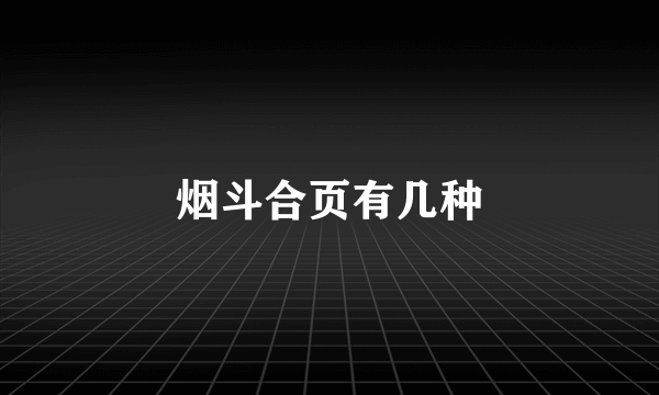 烟斗合页有几种