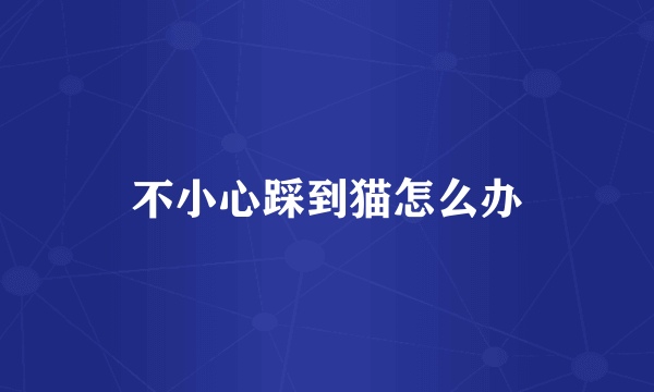 不小心踩到猫怎么办