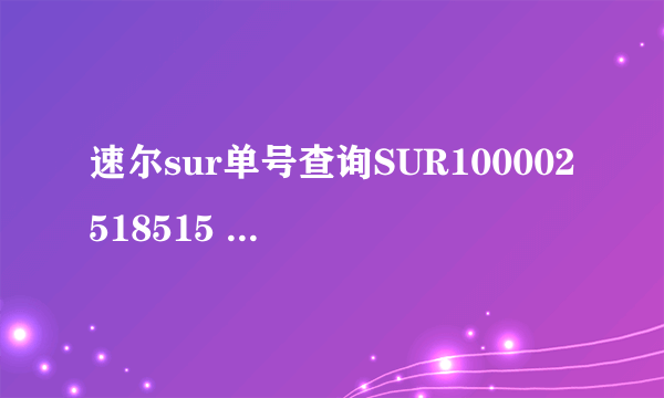 速尔sur单号查询SUR100002518515 速尔快递 货物单号？