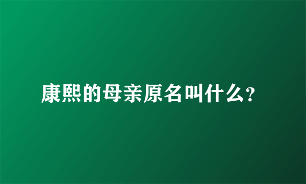 康熙的母亲原名叫什么？