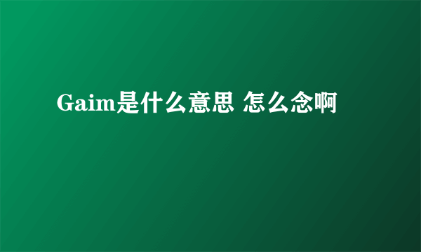 Gaim是什么意思 怎么念啊