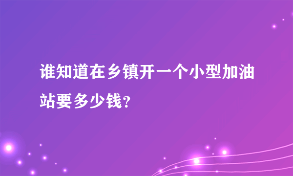 谁知道在乡镇开一个小型加油站要多少钱？