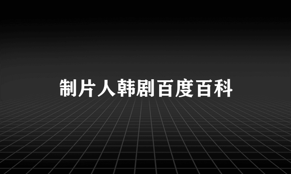制片人韩剧百度百科