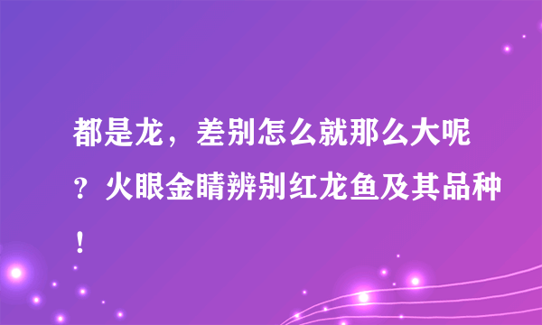 都是龙，差别怎么就那么大呢？火眼金睛辨别红龙鱼及其品种！