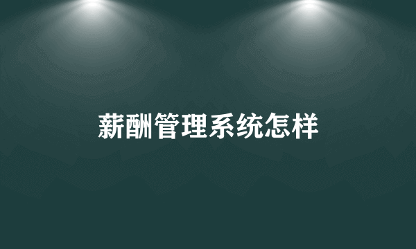 薪酬管理系统怎样