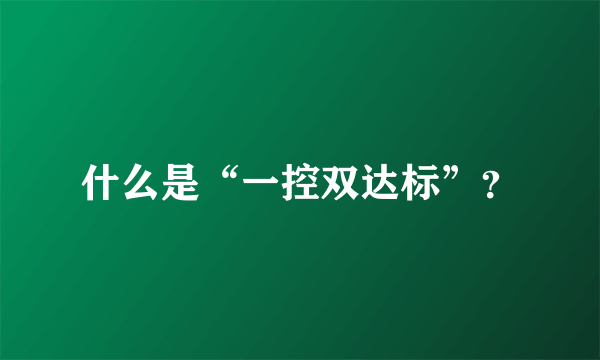 什么是“一控双达标”？