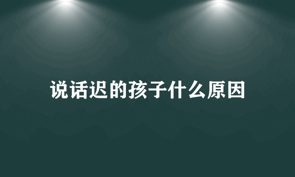 说话迟的孩子什么原因