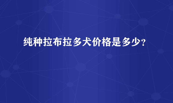 纯种拉布拉多犬价格是多少？