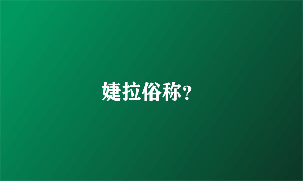 婕拉俗称？