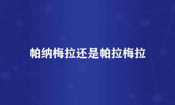 帕纳梅拉还是帕拉梅拉