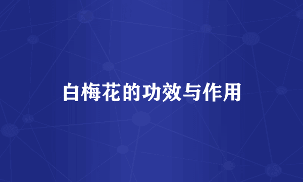 白梅花的功效与作用