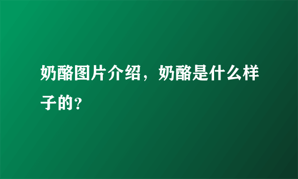 奶酪图片介绍，奶酪是什么样子的？