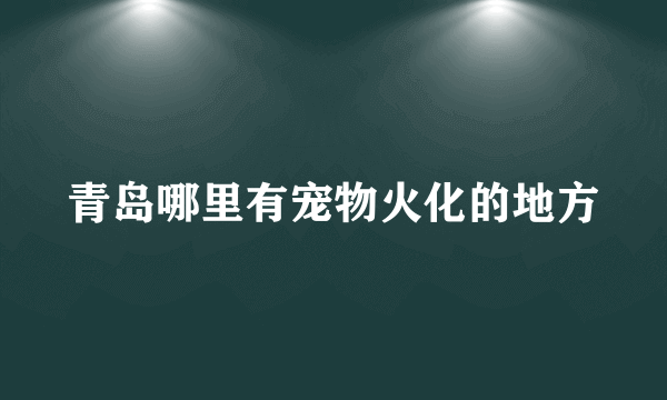 青岛哪里有宠物火化的地方