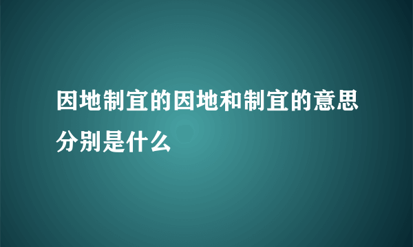 因地制宜的因地和制宜的意思分别是什么