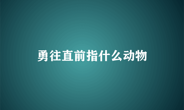 勇往直前指什么动物