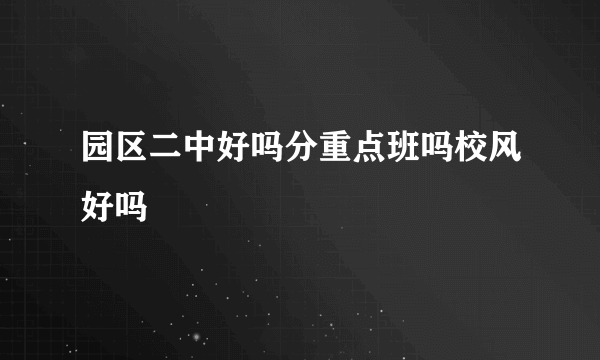 园区二中好吗分重点班吗校风好吗