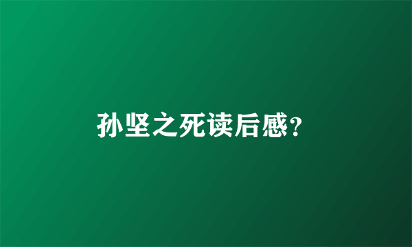 孙坚之死读后感？