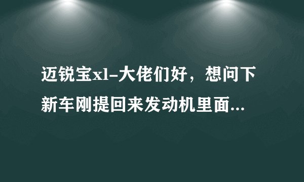 迈锐宝xl-大佬们好，想问下新车刚提回来发动机里面有股很浓的塑料味散发出来，这是什么情况？