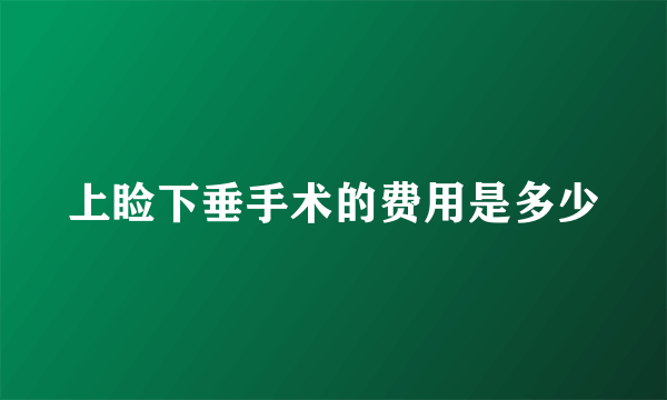 上睑下垂手术的费用是多少