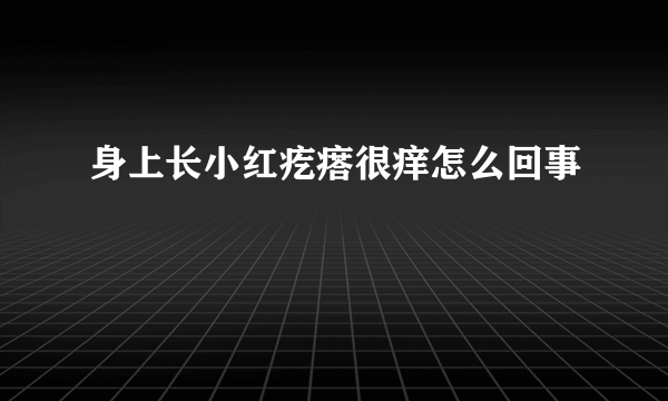 身上长小红疙瘩很痒怎么回事