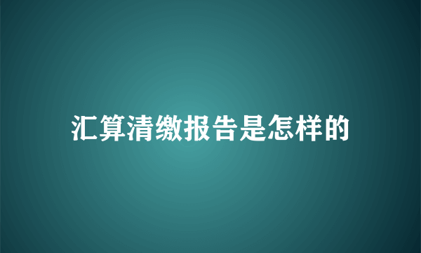 汇算清缴报告是怎样的