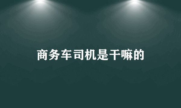 商务车司机是干嘛的