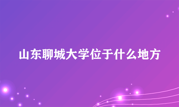 山东聊城大学位于什么地方