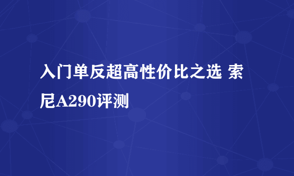 入门单反超高性价比之选 索尼A290评测