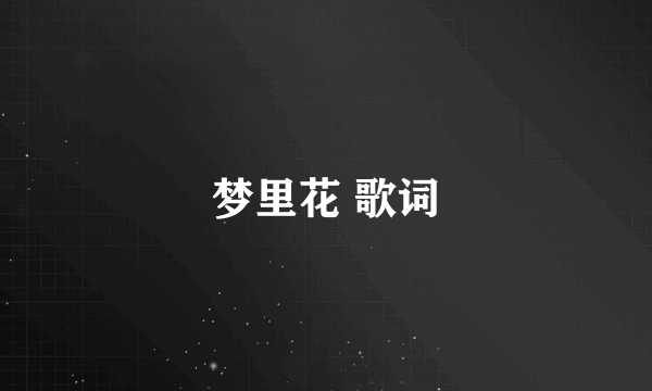 梦里花 歌词