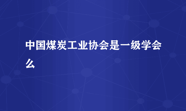 中国煤炭工业协会是一级学会么