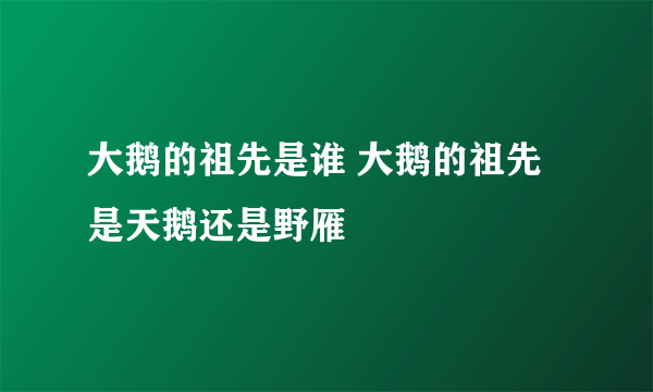大鹅的祖先是谁 大鹅的祖先是天鹅还是野雁