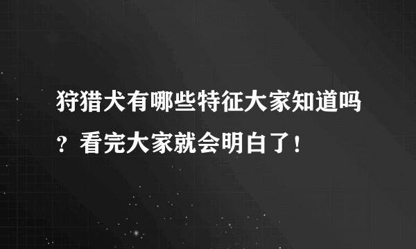 狩猎犬有哪些特征大家知道吗？看完大家就会明白了！