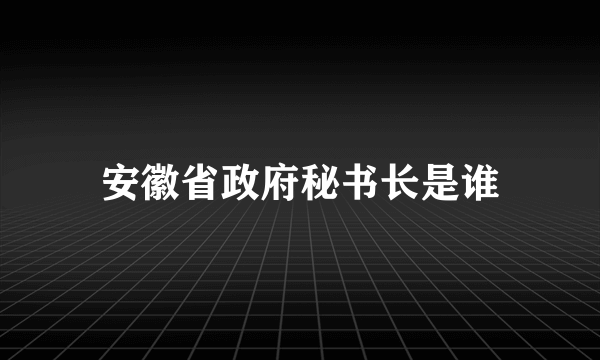 安徽省政府秘书长是谁