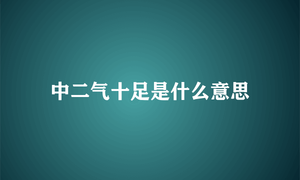 中二气十足是什么意思
