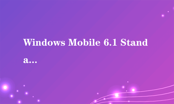 Windows Mobile 6.1 Standard和Windows Mobile 6.1 professional有什么区别吗