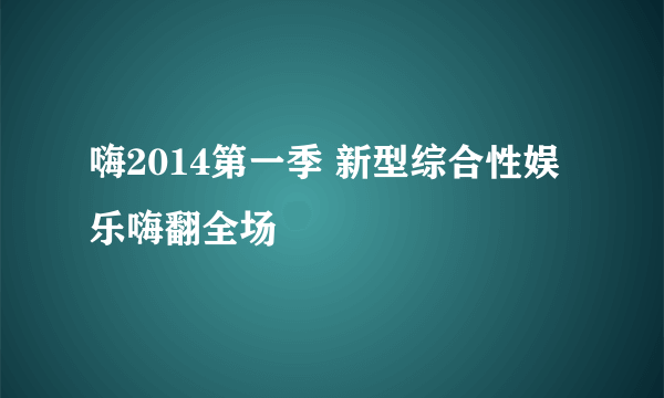 嗨2014第一季 新型综合性娱乐嗨翻全场